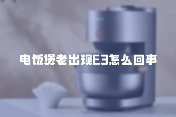 电饭煲老出现E3怎么回事