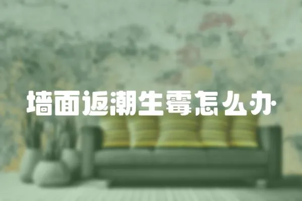 墻面返潮生霉怎么辦