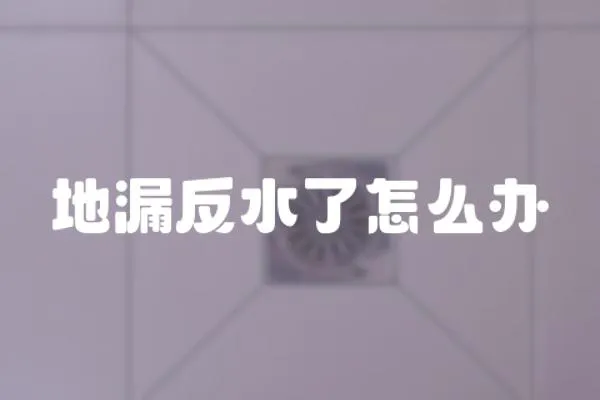 地漏反水了怎么辦