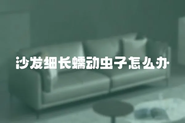 沙發細長蠕動蟲子怎么辦