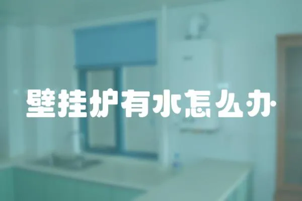 壁掛爐有水怎么辦