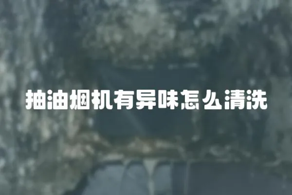 抽油烟机有异味怎么清洗