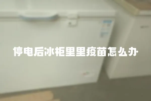 停電后冰柜里里疫苗怎么辦