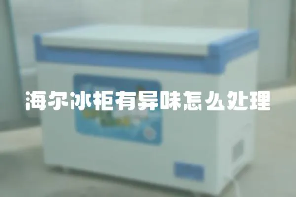 海爾冰柜有異味怎么處理