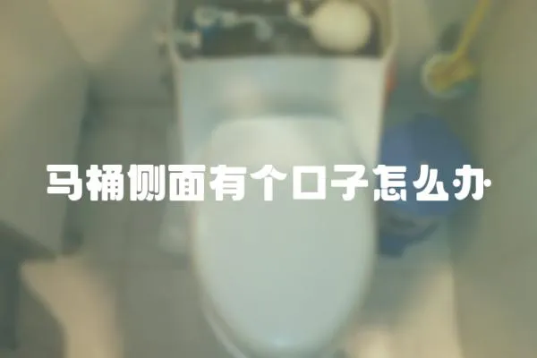 馬桶側面有個口子怎么辦