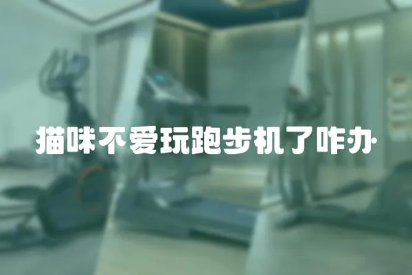 貓咪不愛玩跑步機了咋辦