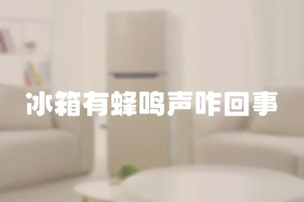 冰箱有蜂鳴聲咋回事