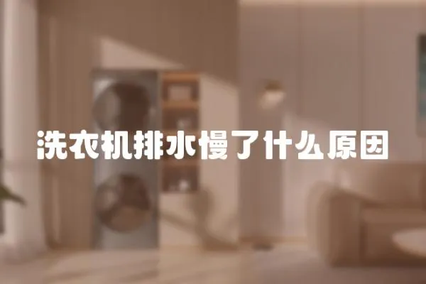洗衣機(jī)排水慢了什么原因