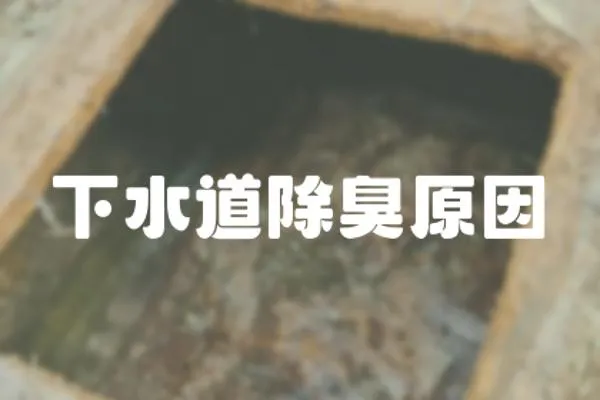 下水道除臭原因