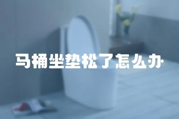 馬桶坐墊松了怎么辦