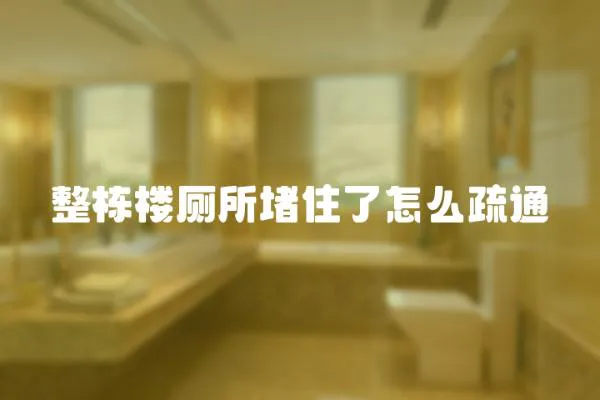 整棟樓廁所堵住了怎么疏通