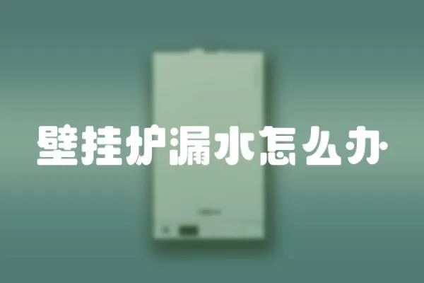 壁掛爐漏水怎么辦