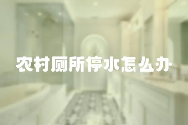 農(nóng)村廁所停水怎么辦