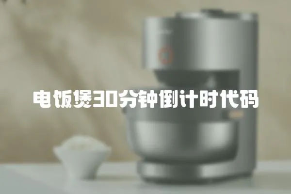 電飯煲30分鐘倒計時代碼