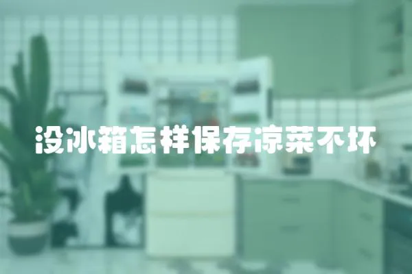 沒冰箱怎樣保存涼菜不壞