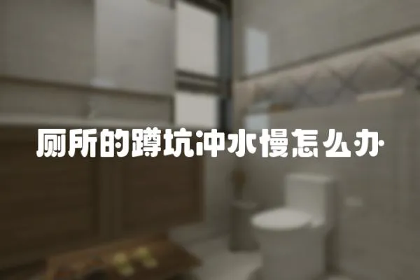 廁所的蹲坑沖水慢怎么辦