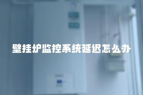 壁掛爐監控系統延遲怎么辦