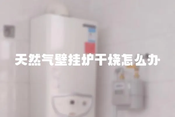 天然氣壁掛爐干燒怎么辦