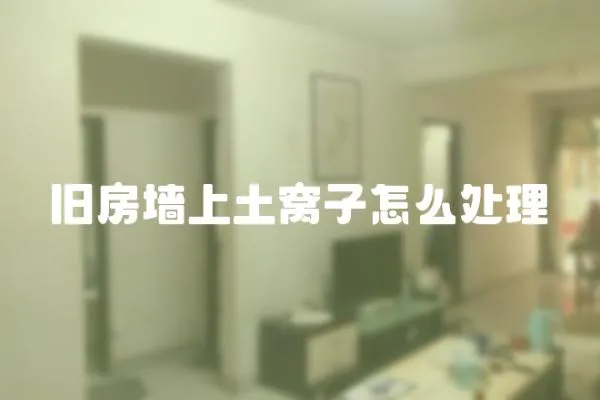 舊房墻上土窩子怎么處理