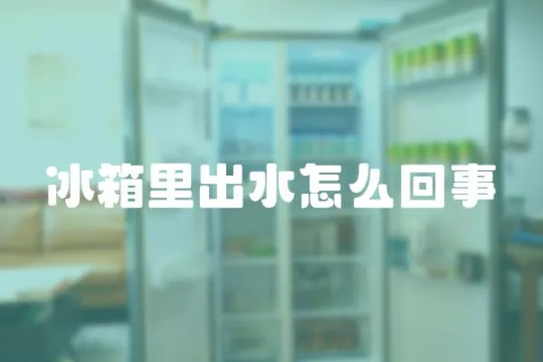 冰箱里出水怎么回事