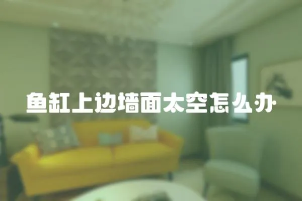 魚缸上邊墻面太空怎么辦
