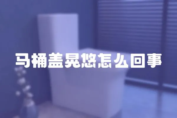 馬桶蓋晃悠怎么回事