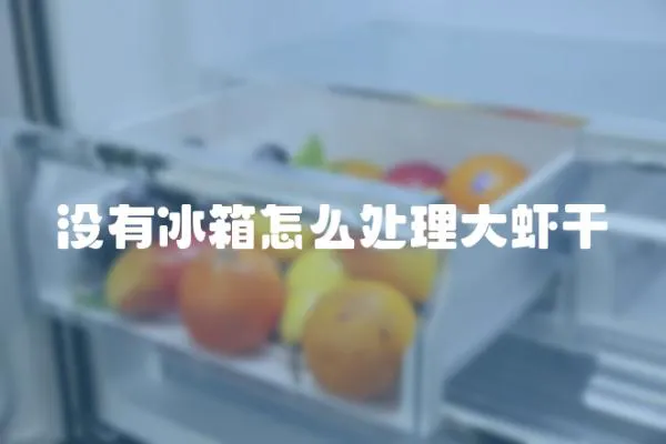 沒有冰箱怎么處理大蝦干