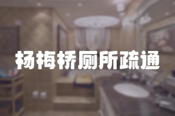 楊梅橋廁所疏通