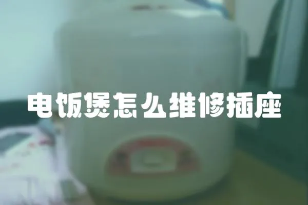 電飯煲怎么維修插座