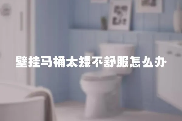 壁掛馬桶太矮不舒服怎么辦