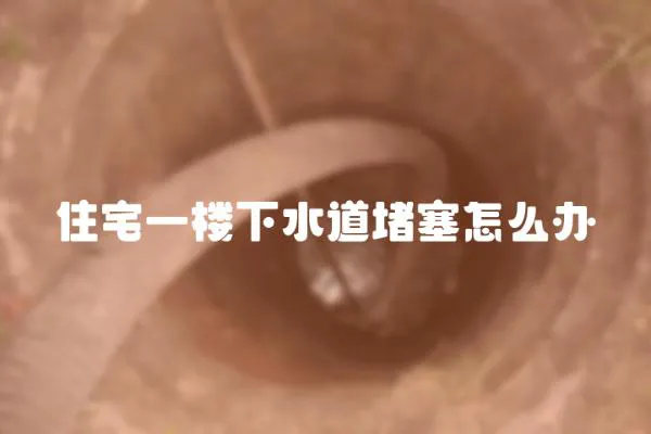 住宅一樓下水道堵塞怎么辦