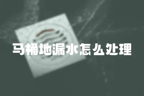 馬桶地漏水怎么處理