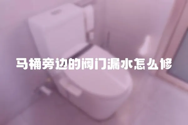 馬桶旁邊的閥門漏水怎么修