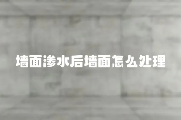 墻面滲水后墻面怎么處理