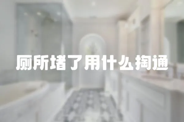 廁所堵了用什么掏通