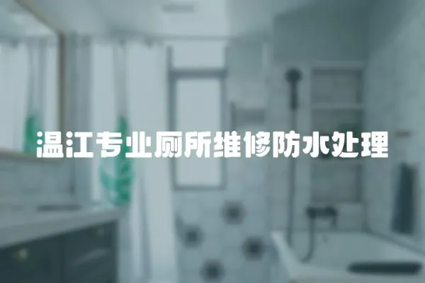 溫江專業(yè)廁所維修防水處理