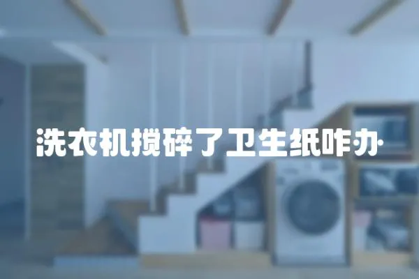 洗衣機攪碎了衛生紙咋辦