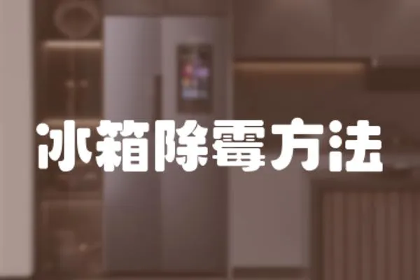 冰箱除霉方法