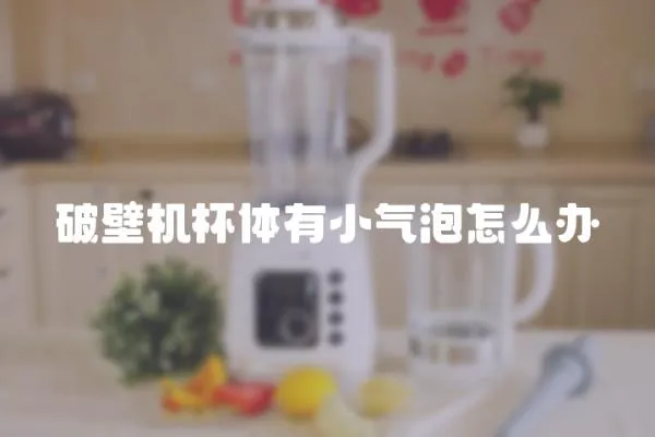 破壁機杯體有小氣泡怎么辦