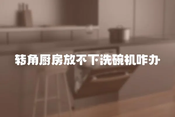 轉(zhuǎn)角廚房放不下洗碗機(jī)咋辦