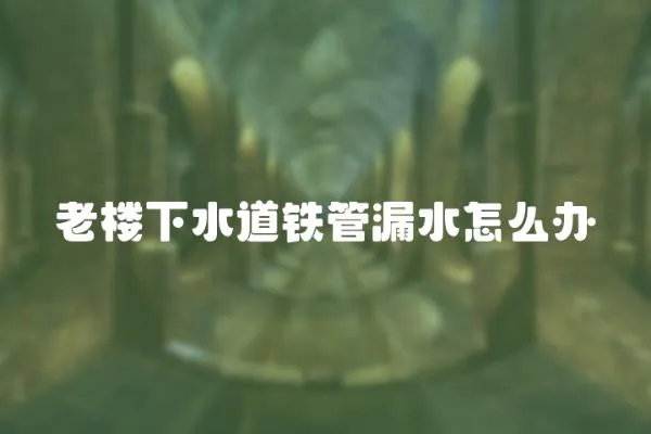 老樓下水道鐵管漏水怎么辦