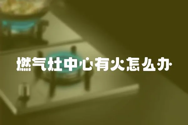 燃?xì)庠钪行挠谢鹪趺崔k