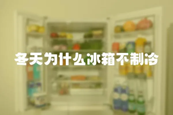 冬天為什么冰箱不制冷