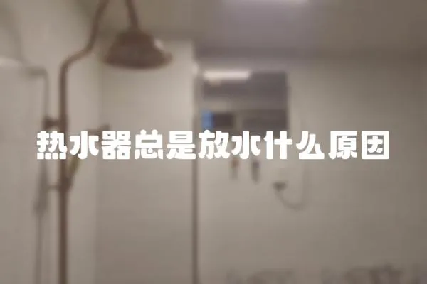 熱水器總是放水什么原因