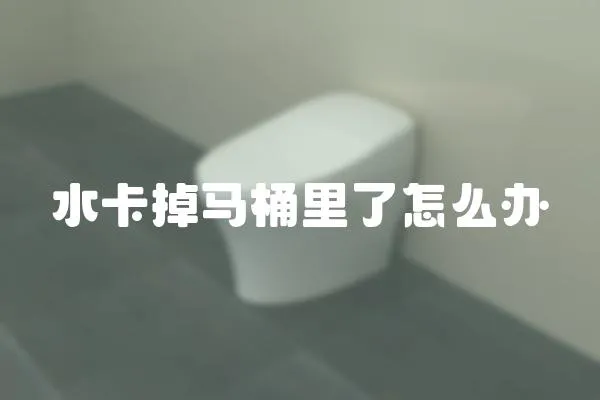 水卡掉马桶里了怎么办