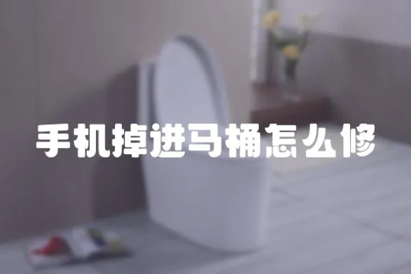 手機掉進馬桶怎么修