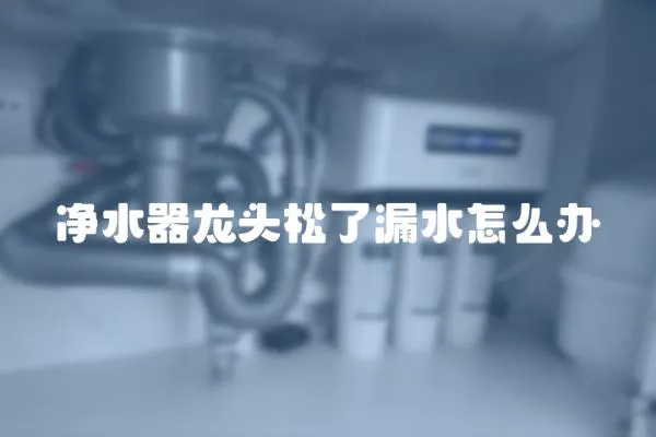 凈水器龍頭松了漏水怎么辦