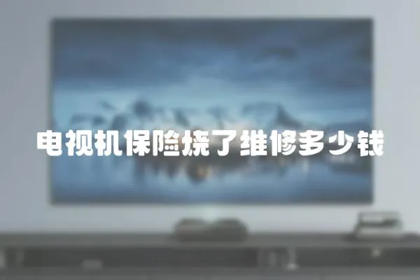 電視機保險燒了維修多少錢