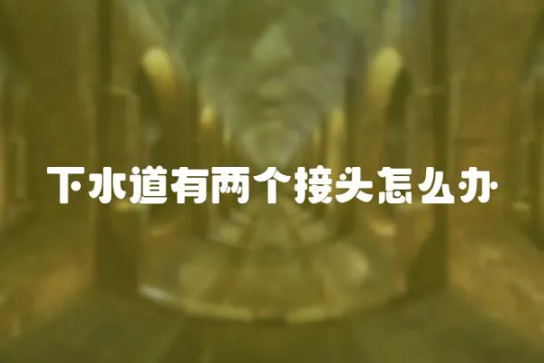 下水道有兩個接頭怎么辦