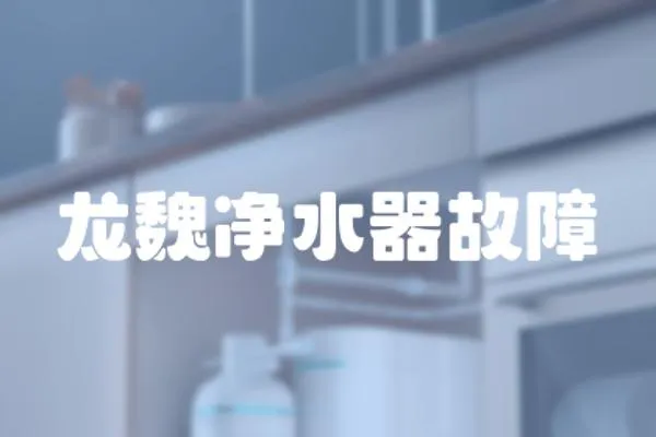 龍魏凈水器故障